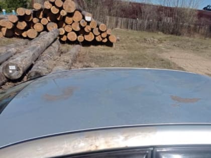 В Томской области пассажир получил травмы, упав с крыши иномарки