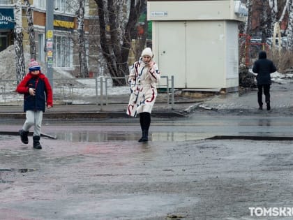 В Томской области подтвердили еще 81 случай заражения COVID-19