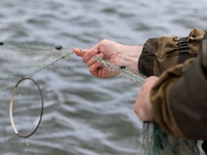 Томича накажут за вылов рыбы во время нереста