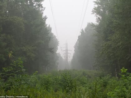 Запах гари и дымка появились в Томске из-за палов травы