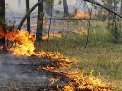 Оперативное предупреждение