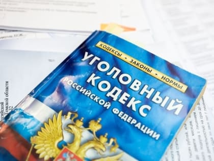 В Томской области снизилось количество экономических преступлений