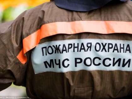 Пятилетний ребенок впал в кому после пожара в частично расселенном доме Томска