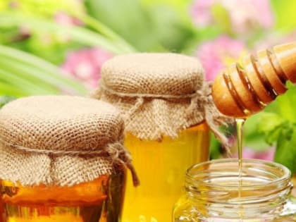 Северских предпринимателей приглашают на ярмарку  «Медовый Спас - 2023»