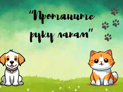 Всемирный день защиты животных: уроки доброты и заботы о питомцах