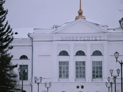 Томские ученые разработали инновационный метод визуализации кровеносных сосудов