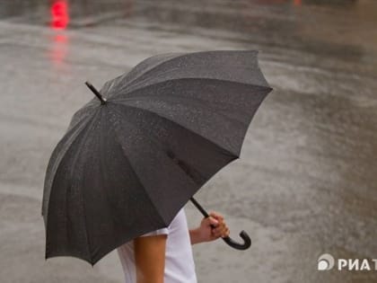 Около плюс 25-ти и дождь ждут томичей в воскресенье