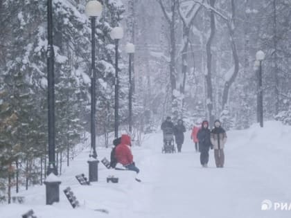 Умеренно морозная погода сохранится в Томске в субботу