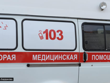 Более 3 тысяч томичей вызывали скорую помощь на прошлой неделе