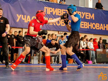 Томчи завоевали пять медалей на чемпионате и первенстве СФО по панкратиону