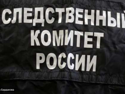 Жительница Верхнекетского района Томской области взята под арест по подозрению в убийстве сожителя