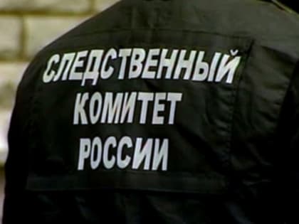 В городе Асино местная жительница задержана по подозрению в покушении на убийство сожителя