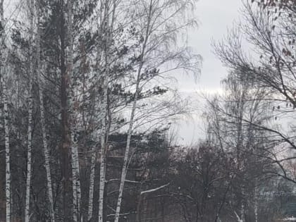 В Михайловской роще инструкторы проводят зарядку для старшего поколения
