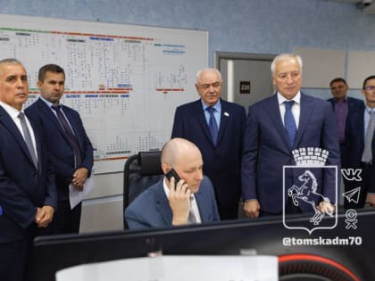 В Томске 500 участков льготников подключили к сетям энергоснабжения