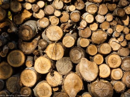 Владимир Мазур поздравил жителей Томской области с Днем геолога