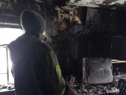 СК: по факту гибели мужчины во время пожара в городе Колпашево будет проведена проверка