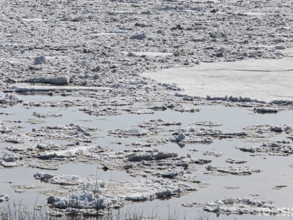 Ледоход на Томи в эти выходные не начнется из-за морозов