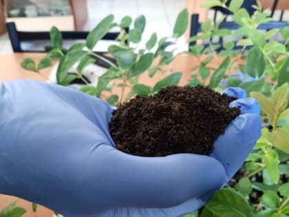 По примеру ТГУ: как изменится аграрное образование в России