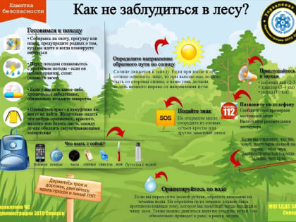 Если вы потерялись в лесу. Памятка