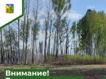 По области сохраняется высокая пожарная опасность
