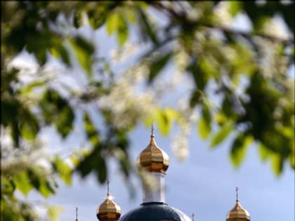 Епархиальная страница в социальной сети «Одноклассники» отметила свой 10-летний юбилей