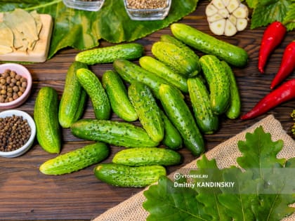 Огурцы, картофель и капуста сильнее всего подорожали в Томской области за декабрь