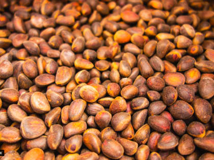 Экспорт кедровых орехов из Томской области вырос в 1,7 раза в 2023 году