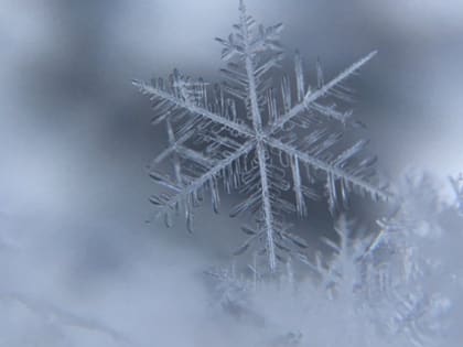 Из-за низких температур игры 10 февраля в 9:00 XXXXIII Регионального турнира по зимнему футболу имени А. Абасова переносятся
