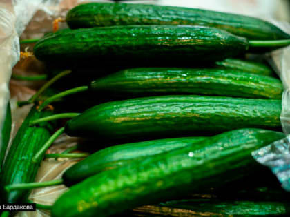 Коммунальные услуги и свежие овощи больше всего подорожали в Томской области в декабре