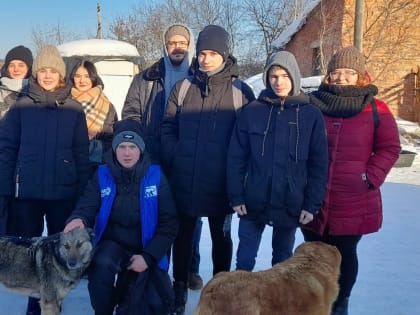 Молодогвардейцы Томской области продолжают помогать в приютах для собак