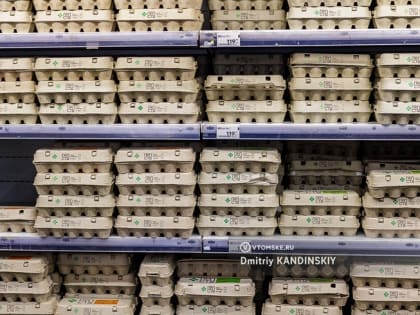 Минсельхоз оценил ситуацию с яйцами в России