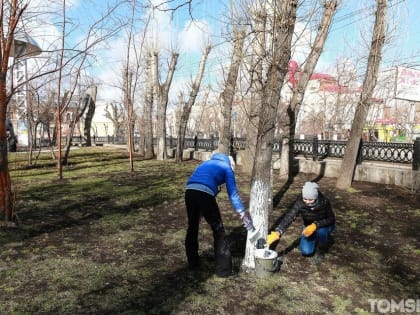 Очищают дорожки и газоны: субботники стартовали в Октябрьском районе Томска