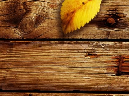 В Томске запустят производство деревянных домокомплектов