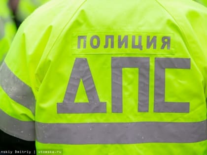 Водитель иномарки насмерть сбил лося на томской трассе