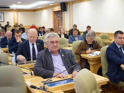 Депутаты обсудили ключевые принципы формирования в регионе молодежной политики