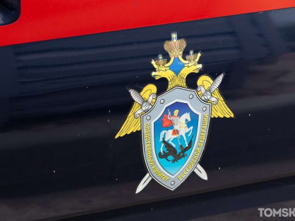 СК проверяет информацию о нападении собаки на ребенка в Томске