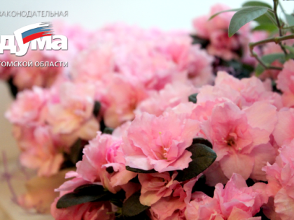 Поздравление губернатора и спикера с Международным женским днем