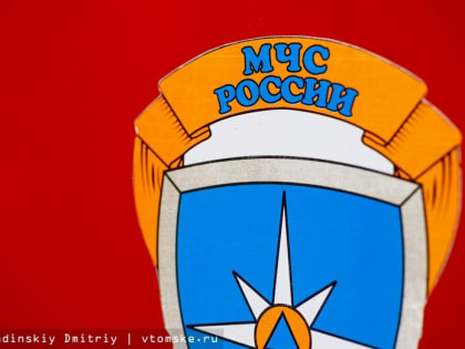 Мужчина погиб при пожаре в томской деревне