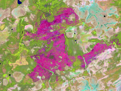 Планирование работ на 2024 год по дистанционным наблюдениям в рамках государственного лесопатологического мониторинга.