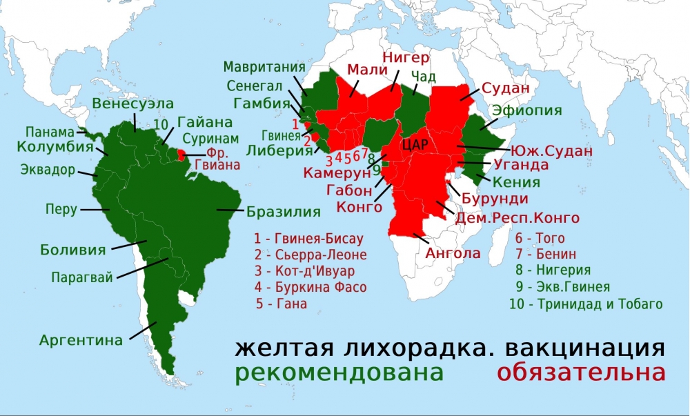 Желтая лихорадка картинки