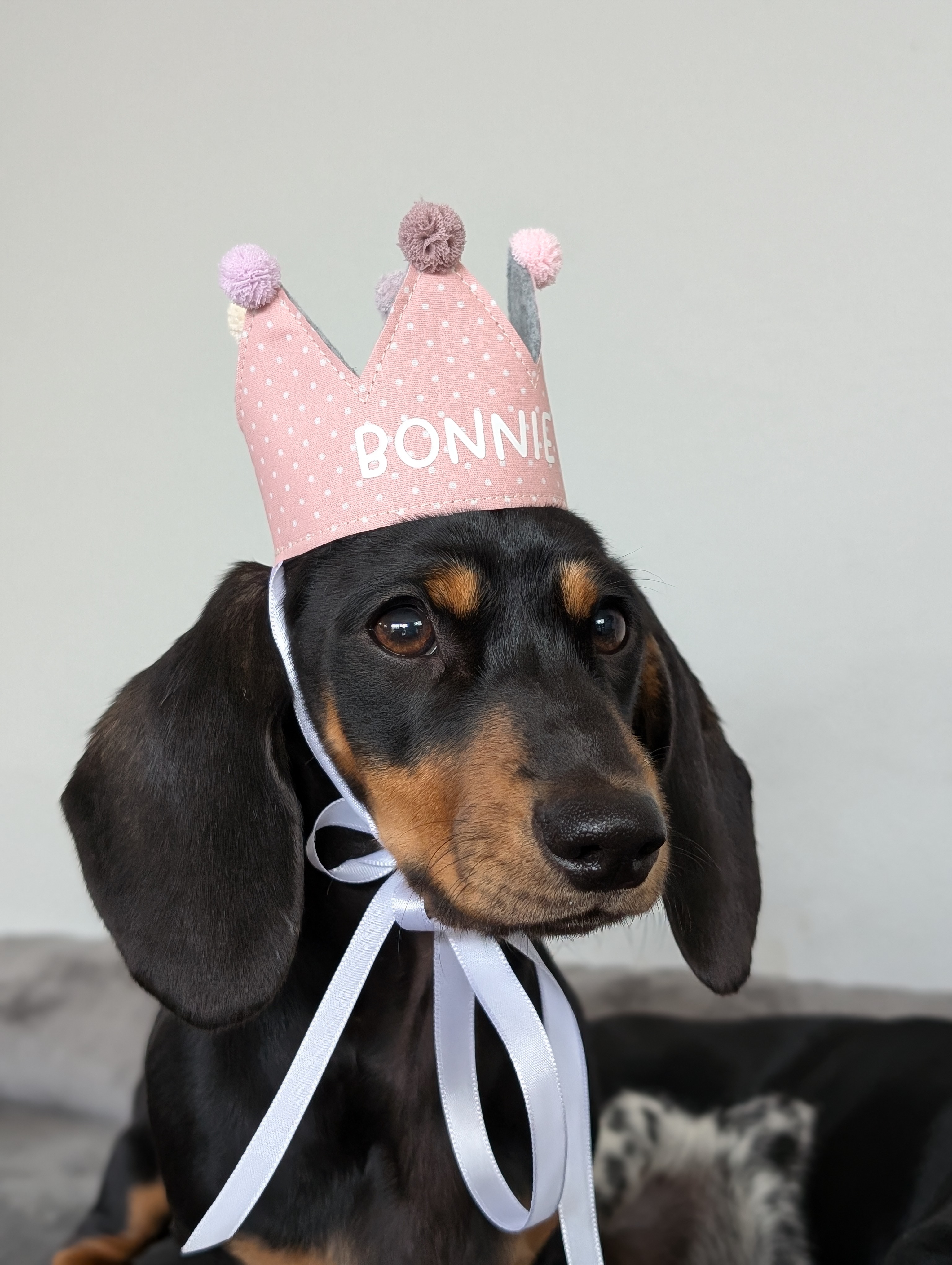 Bonnie