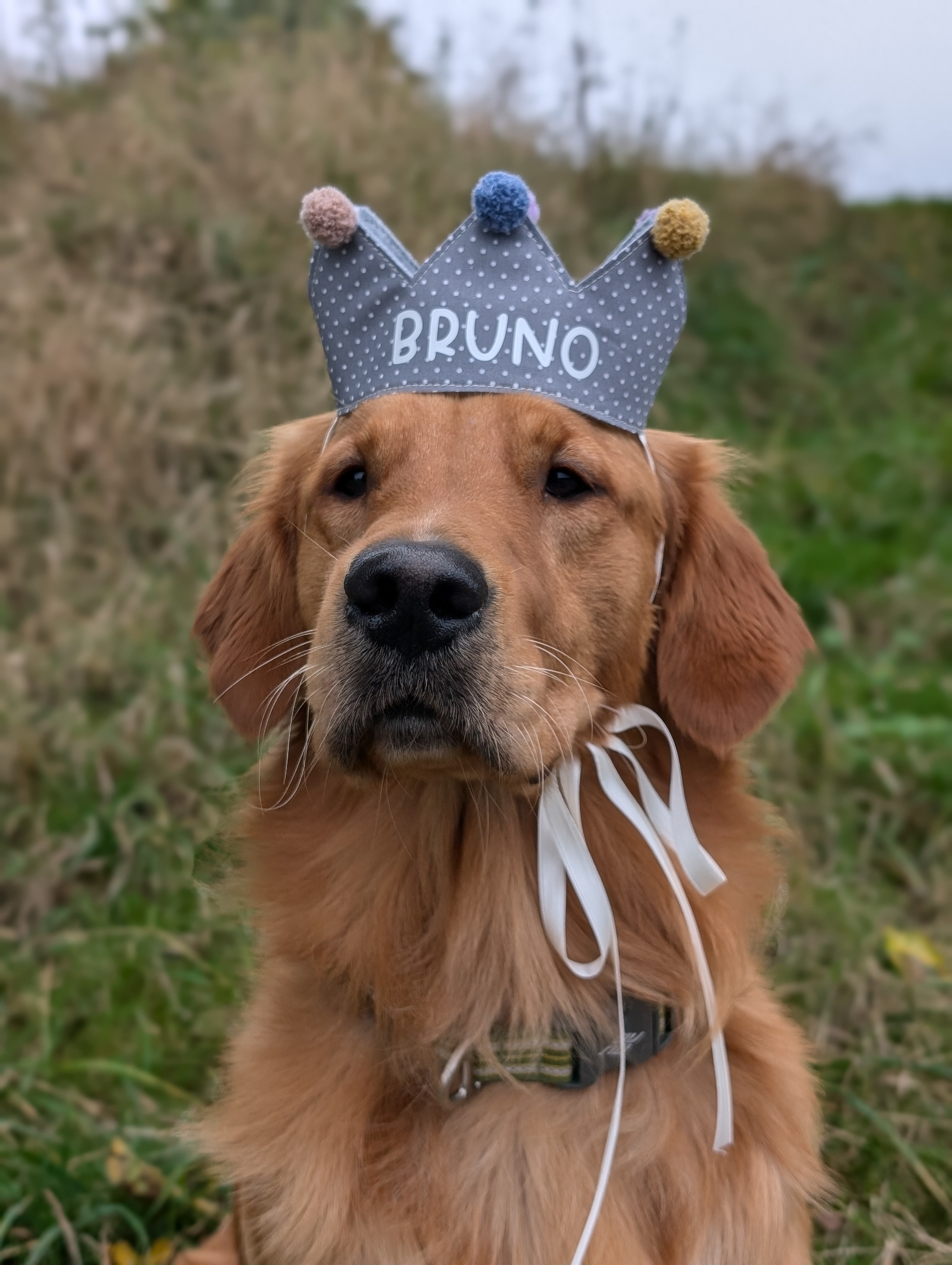 Bruno