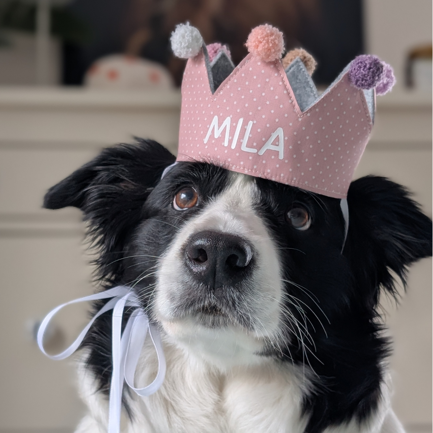 Mila mit Krone