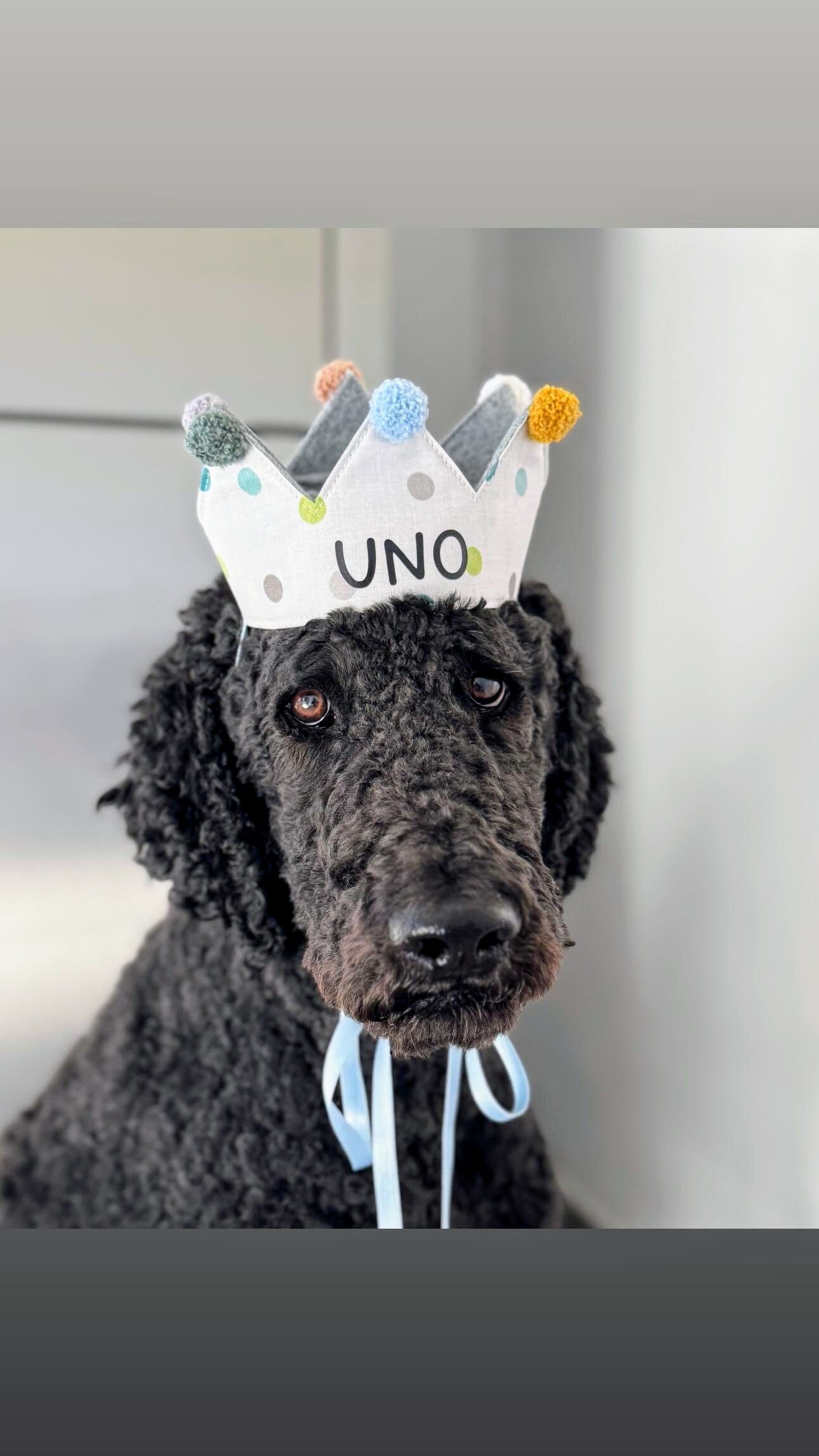 Uno