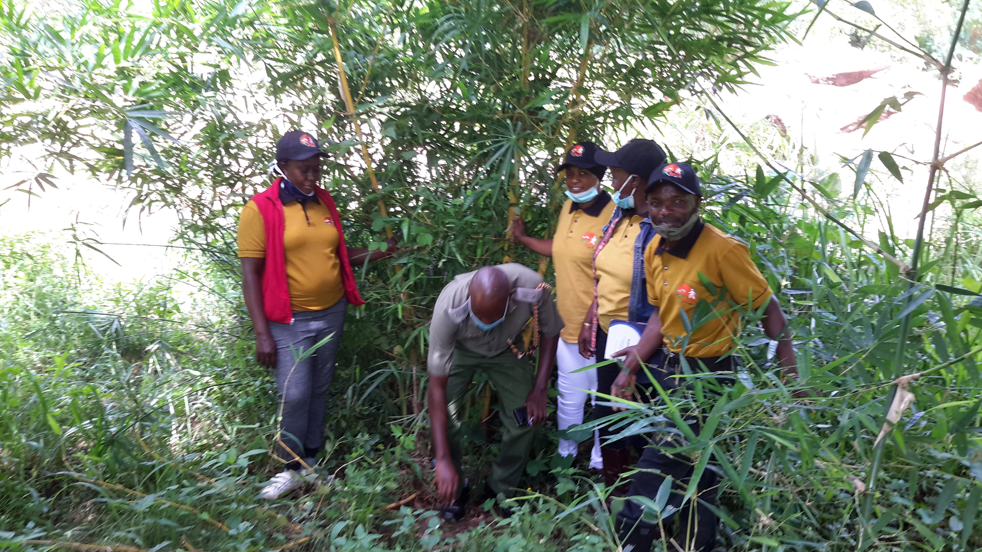BTB team and an officer assessing bamboo