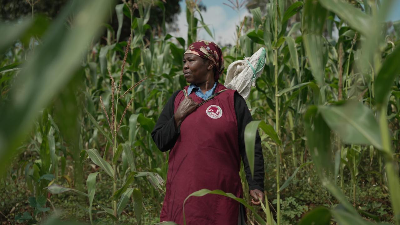 Cultivating Opportunity, One Harvest at a Time