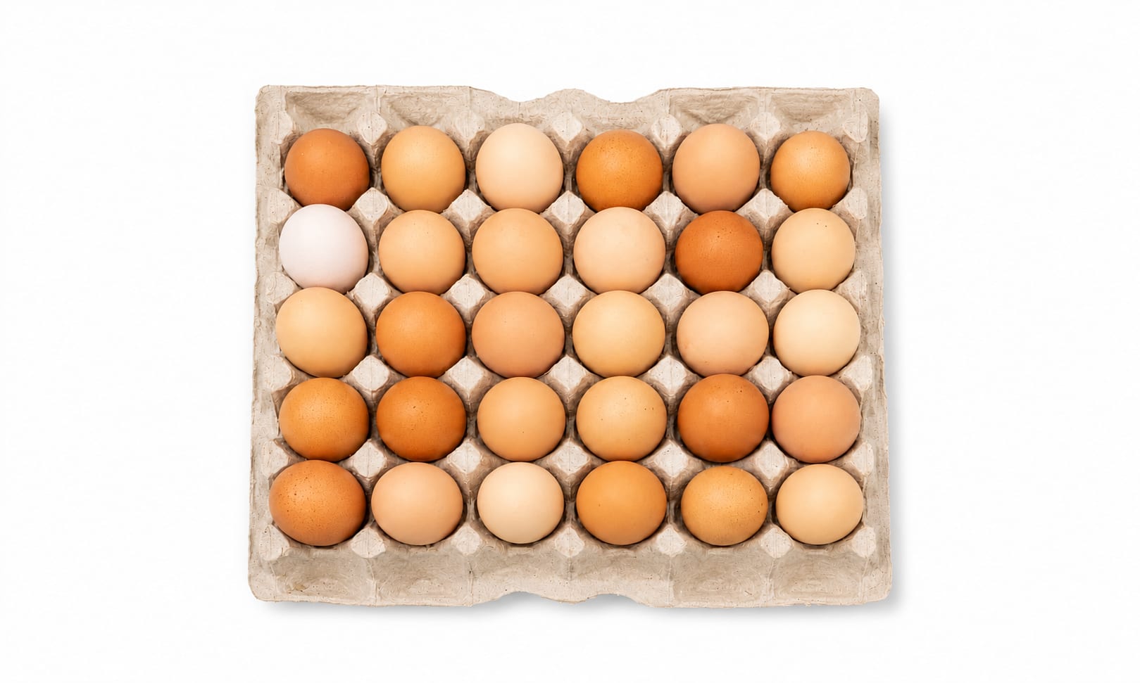 Family Pack — Happy Hens packaging — inside the box