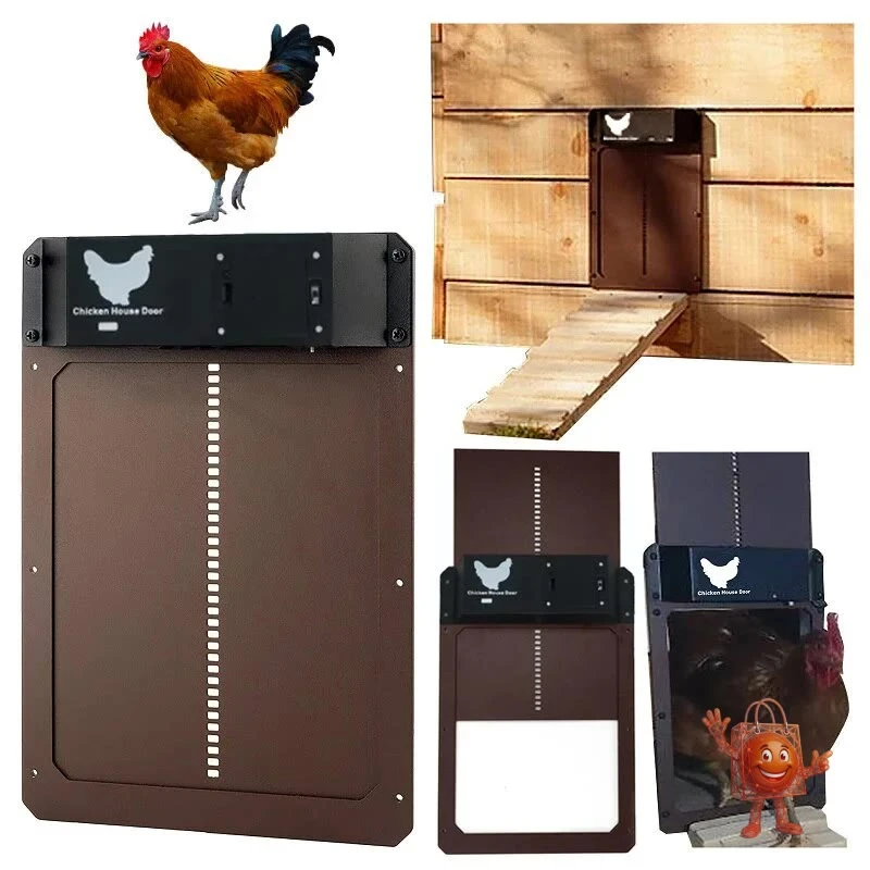 Automatic Chicken Coop Door Review: Is This $19 Solution Worth It?