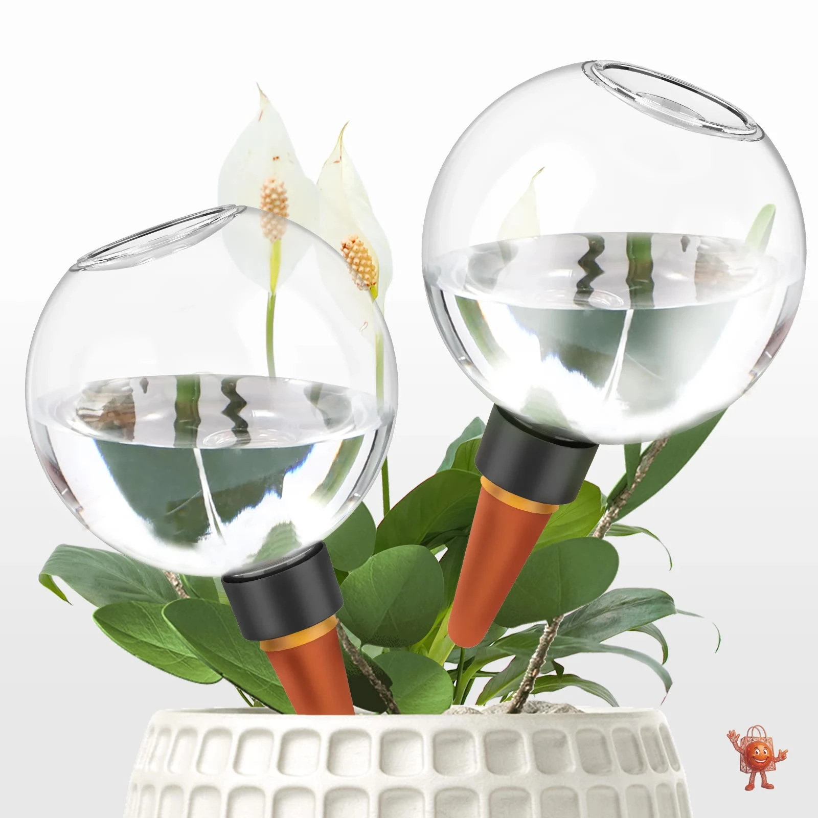 Self-Watering Plant Bulbs: 3-Month Test Results for $6.97