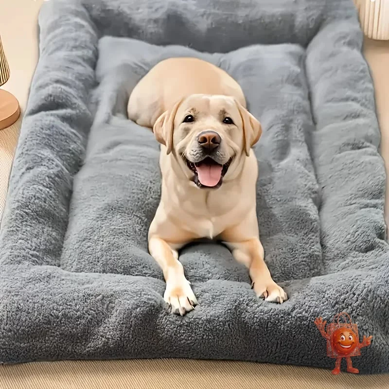 Cama Sofa Calentita para Perros: Mi Prueba Real de 3 Semanas